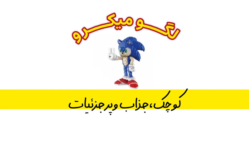لگو سایز میکرو